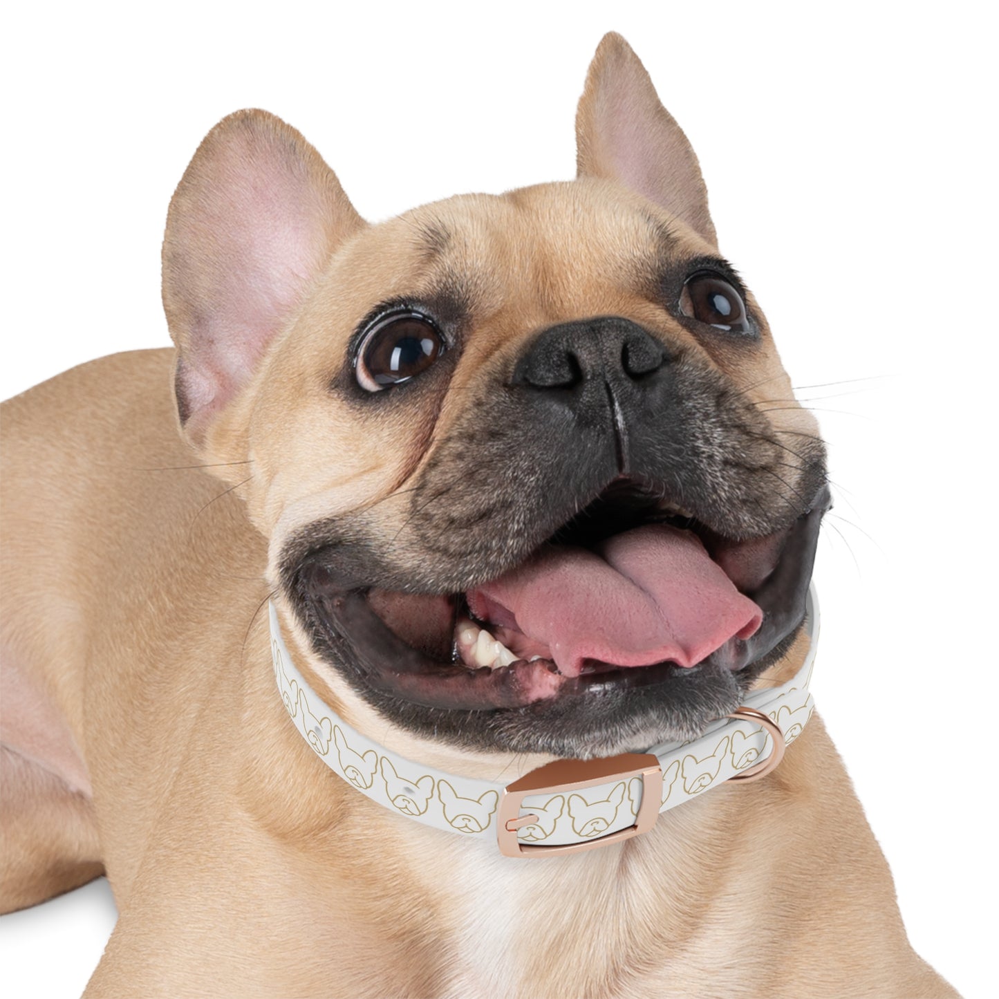 Frenchew Dog Collar