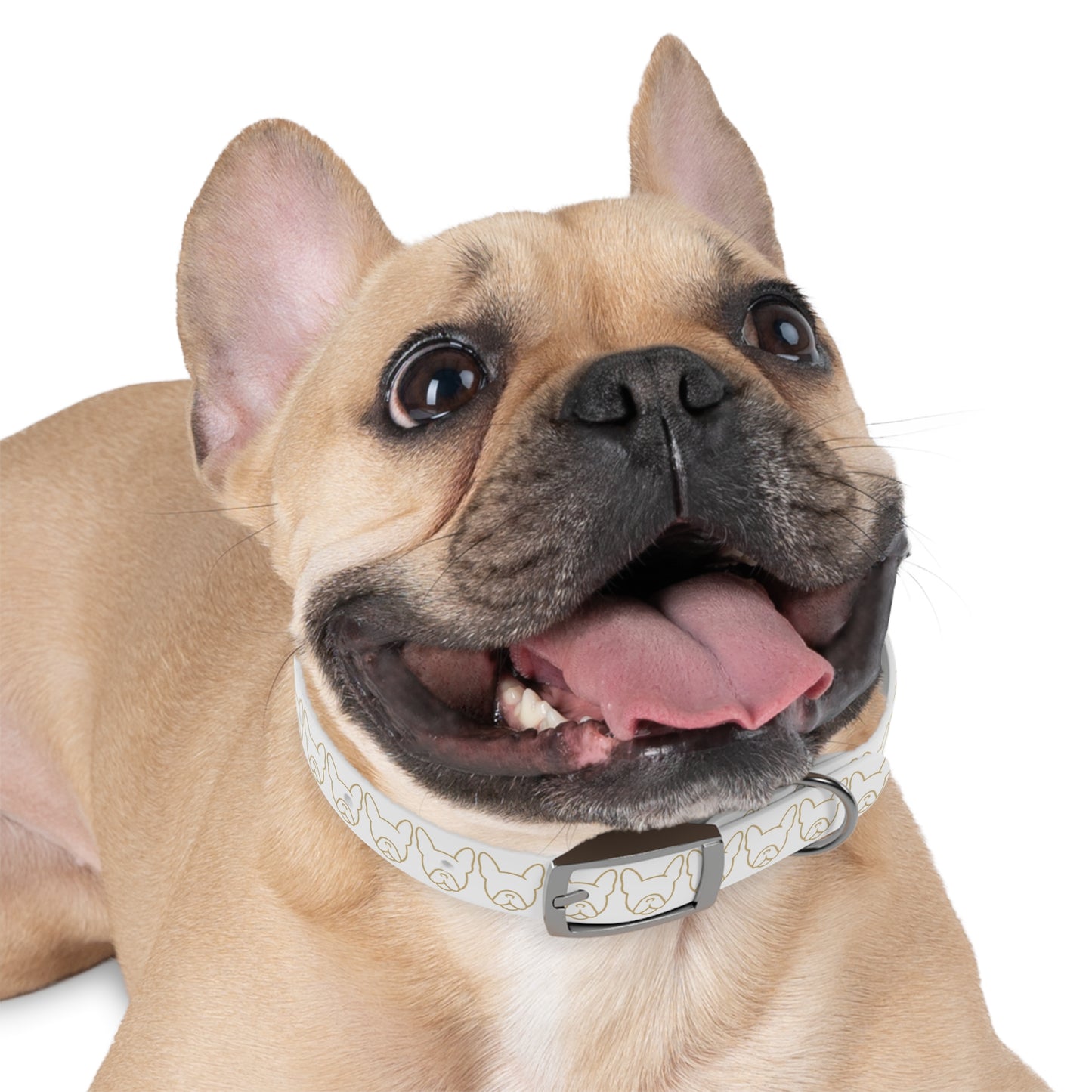 Frenchew Dog Collar