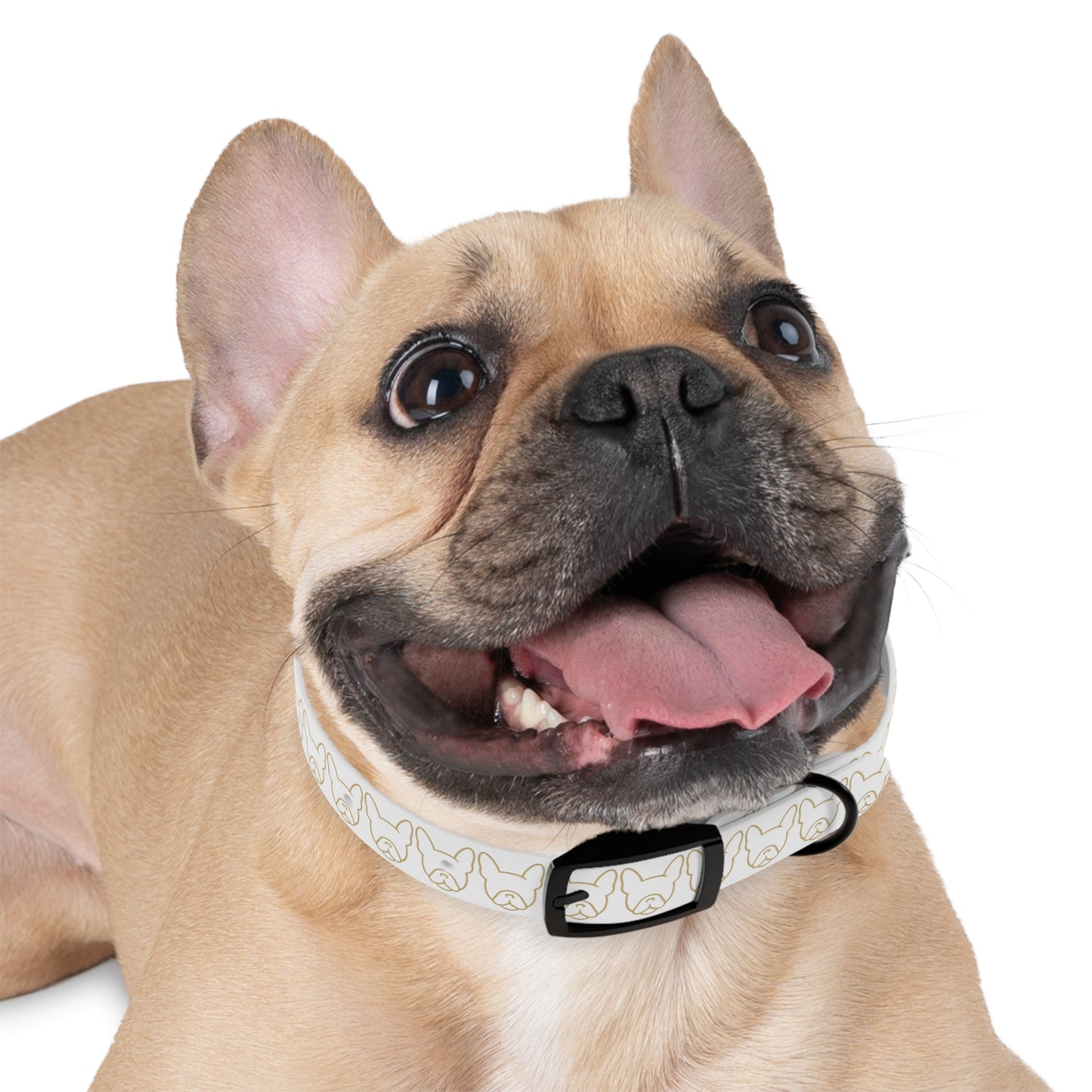 Frenchew Dog Collar
